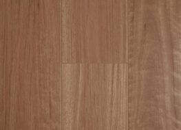 Aged Blackbutt