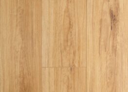 Blackbutt