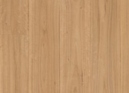 Blackbutt 240