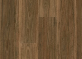 Spotted Gum 240