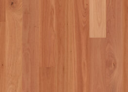 Sydney Blue Gum 134