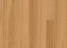 Tasmanian Oak 145